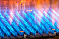 Oatlands Park gas fired boilers